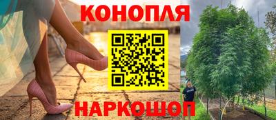 мяу мяу кристалл Кингисепп