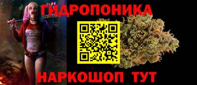 гидра Кинель
